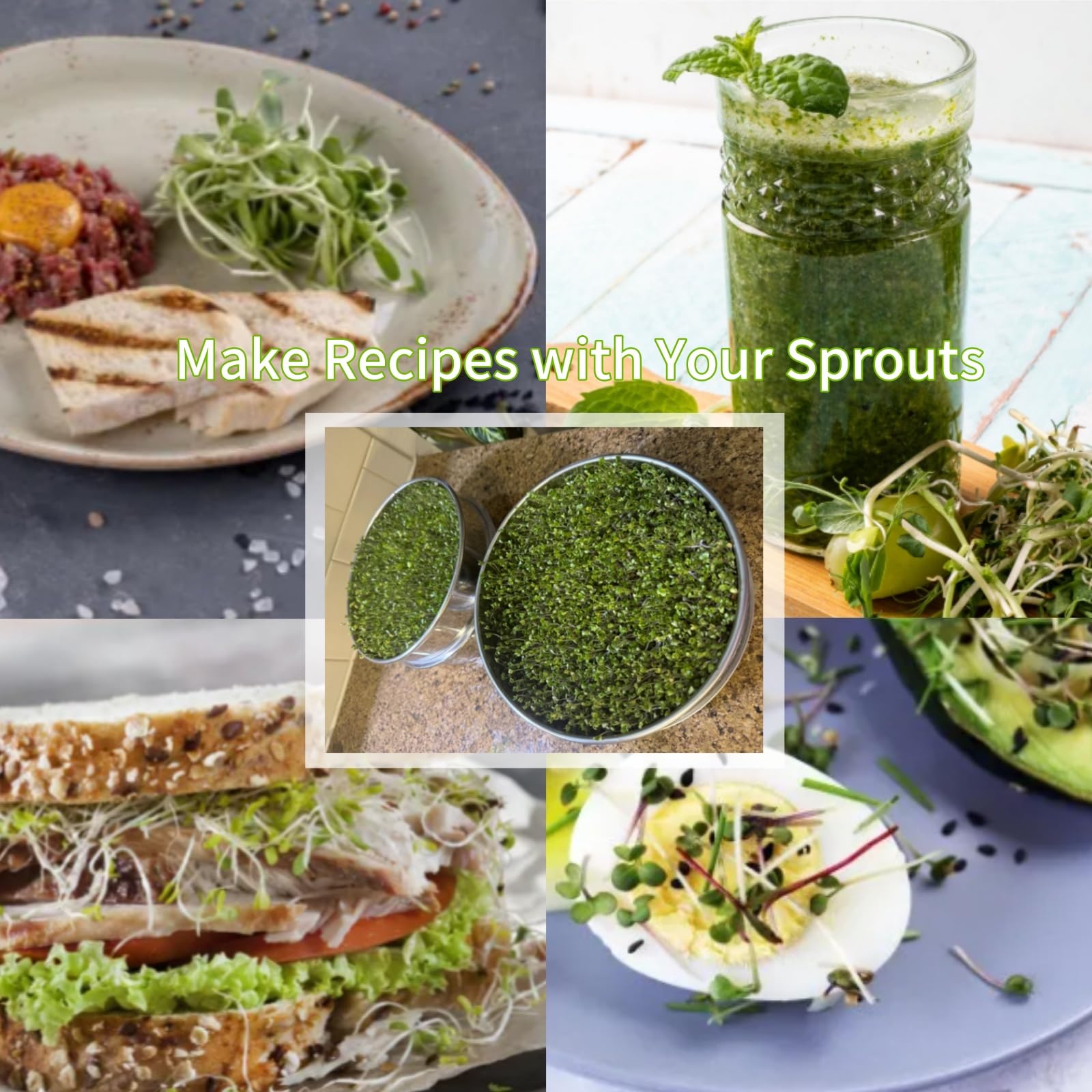 Tlence sprouts ready: soaking and rinsing seeds in a convenient kit