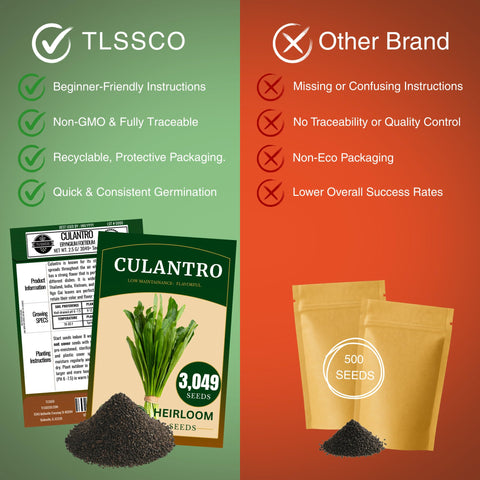 TLSSCO Culantro pollinator-friendly garden attracts beneficial insects.