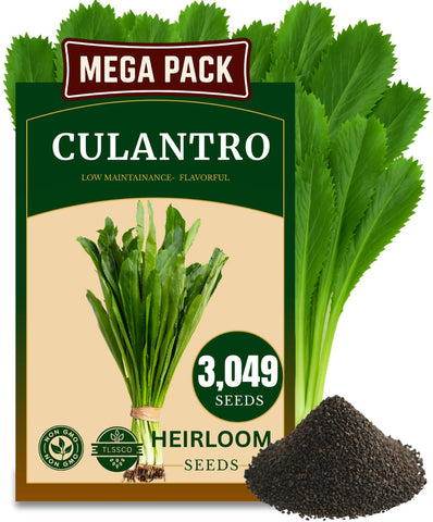 TLSSCO Culantro seeds pack for easy planting and bold flavor.