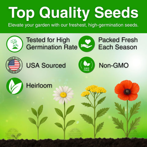 TLSSCO fresh seeds for garden germination and quick blooms.
