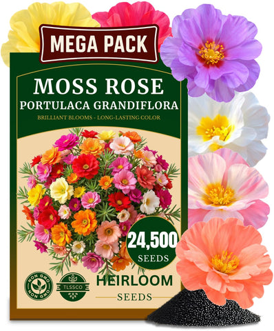 TLSSCO moss rose seeds pack shown for sunny garden beds with vibrant color