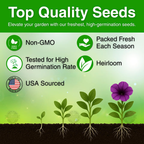 TLSSCO Petunia Seeds pollinator-friendly blooms attract bees and butterflies.