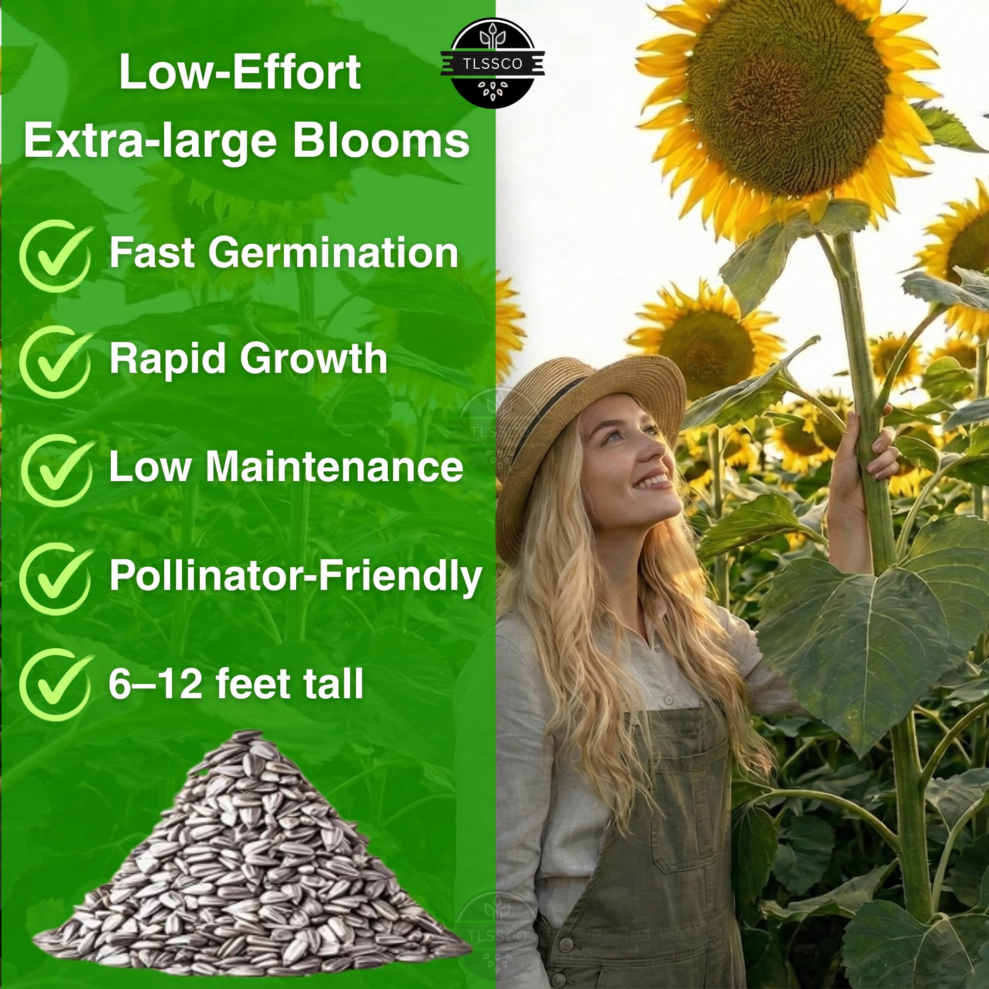 TLSSCO pollinator-friendly sunflowers in garden supporting bees and butterflies