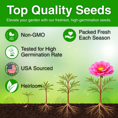 TLSSCO sun-loving flowers ideal for heat-tolerant landscaping and containers