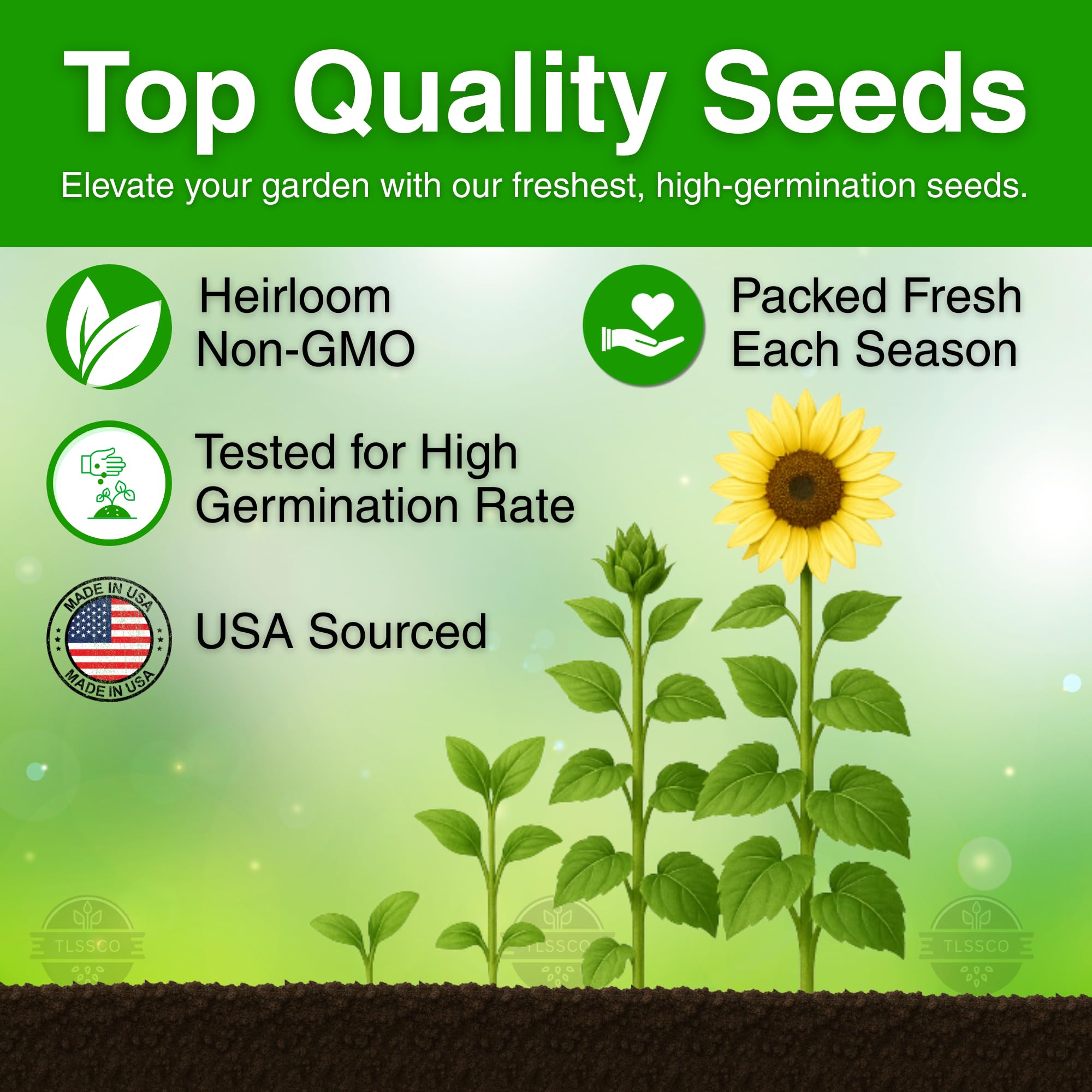 TLSSCO sunflower seeds planted in soil outdoors for lush blooms.