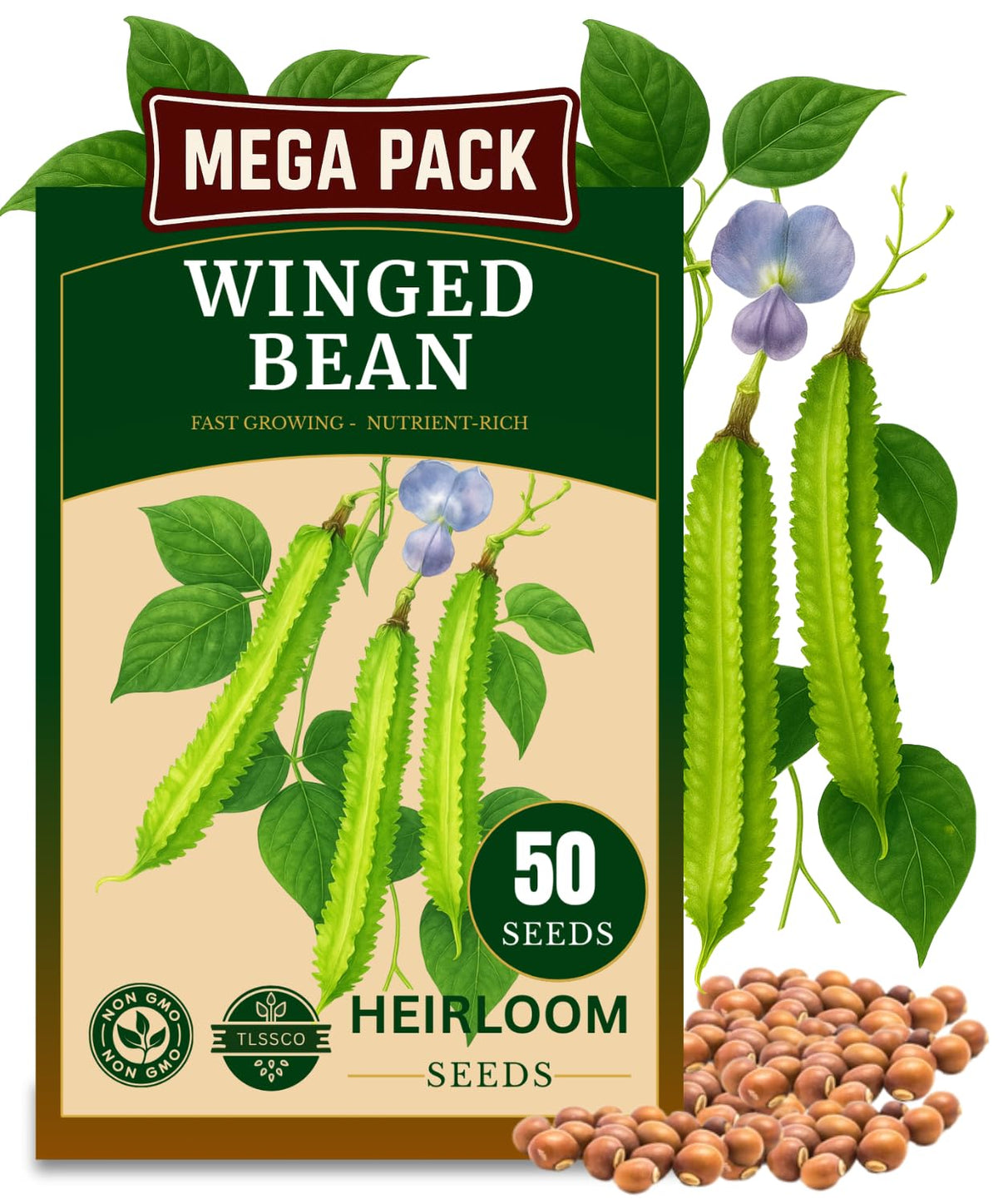 TLSSCO Winged bean seeds pack ready for planting and potential high yield.