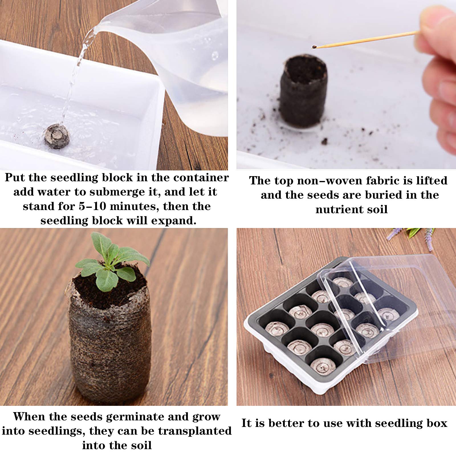 Tlswshsy 30mm peat fiber growth medium supports healthy seedling development