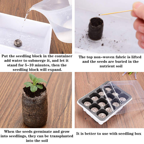 Tlswshsy 30mm peat fiber growth medium supports healthy seedling development