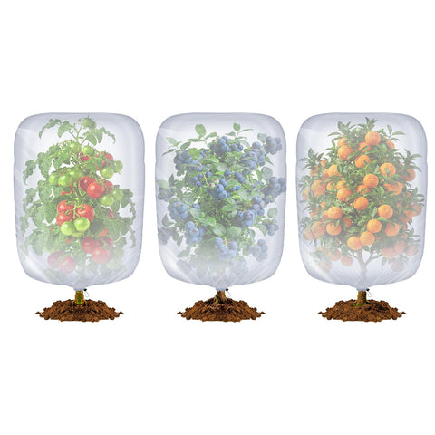 TMFsode bird netting over blueberry bushes protects fruit from birds and pests.