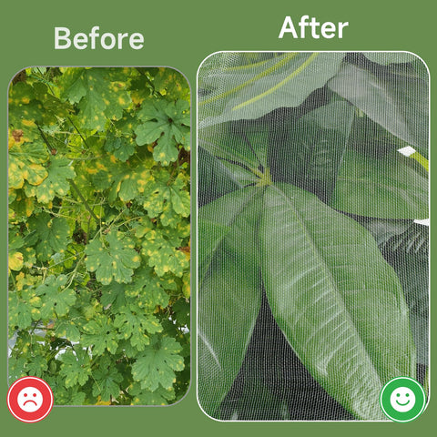 TMFsode three-pack garden netting provides versatile protection for multiple crops.