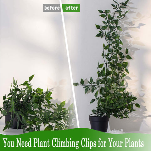 Tmofs ABS resin plant clips provide durable support for ivy and creeper.