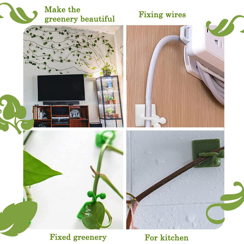 Tmofs wall-clips organizing vines and cables on smooth surfaces.