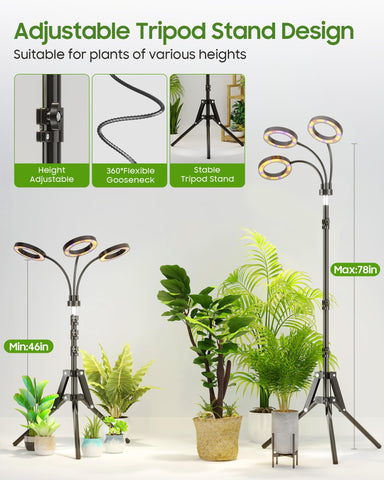 Tmsluody energy-efficient LED design reduces operating costs.