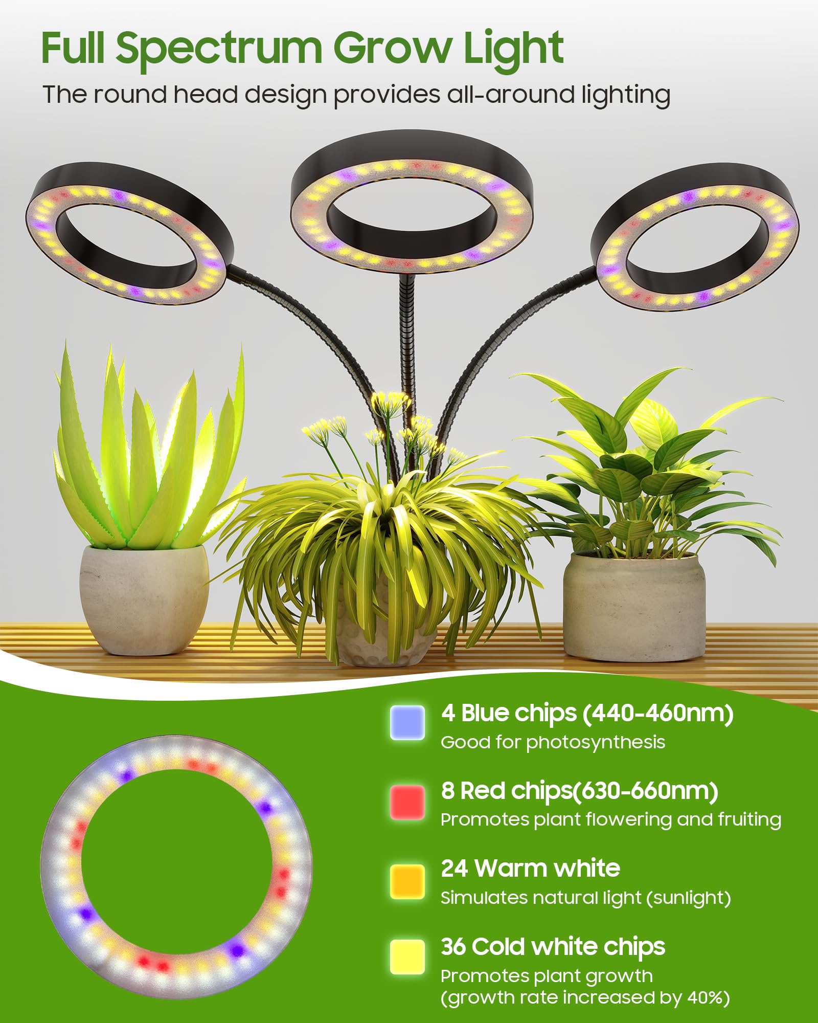 Tmsluody timer settings automate lighting for growth stages.