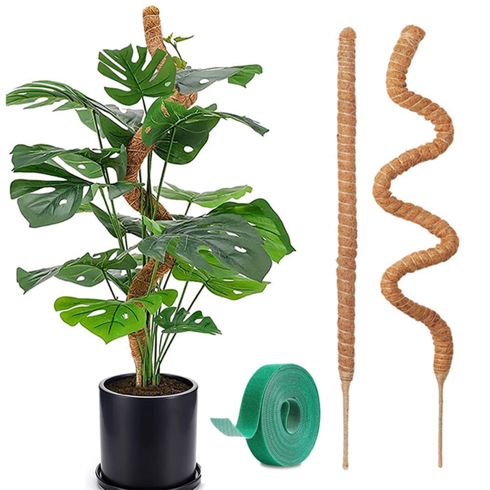 TNDCKP bendable moss pole in monstera setup for climbing growth