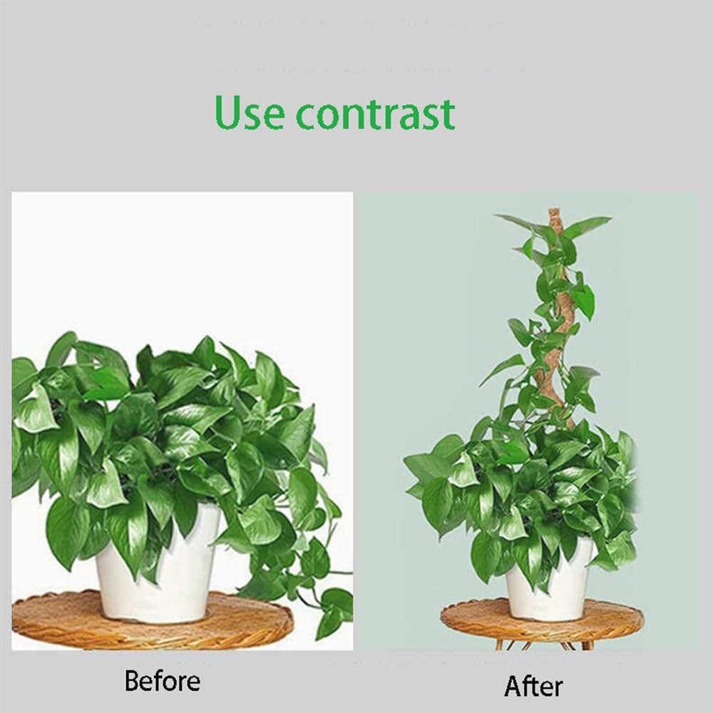 Durable moss pole suitable for indoor and outdoor houseplants