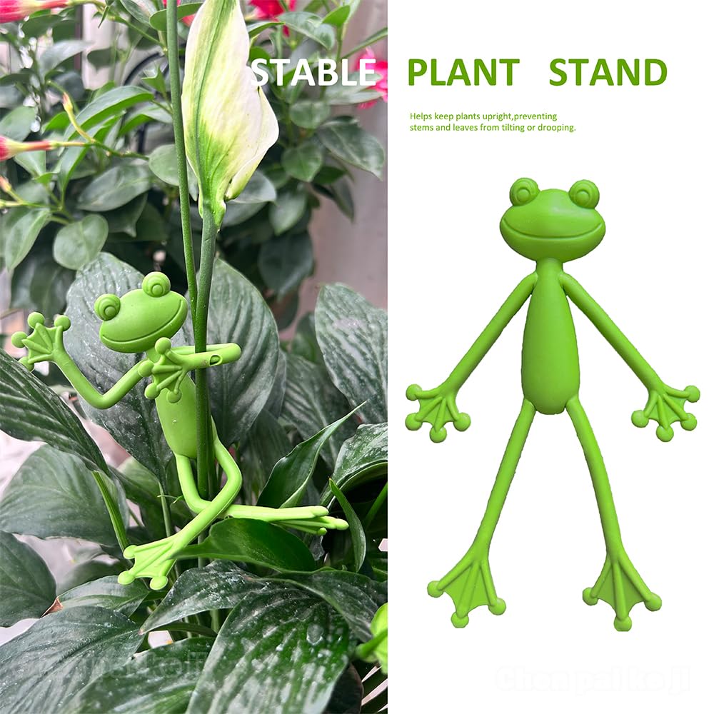 TNDCKP frog plant stand gift pack suitable for plant lovers and decor fans