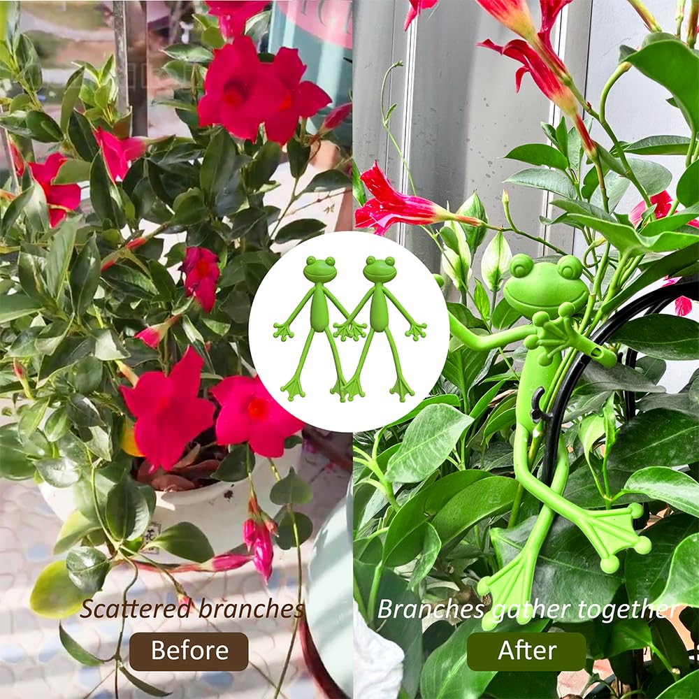 TNDCKP frog plant stand clip on vine illustrating stable traction for stems