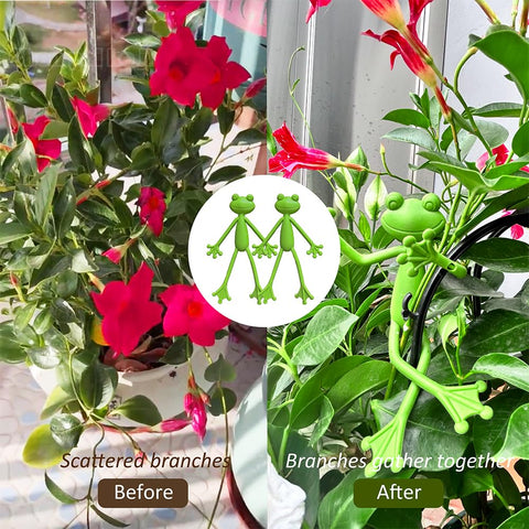 TNDCKP frog plant stand clip on vine illustrating stable traction for stems