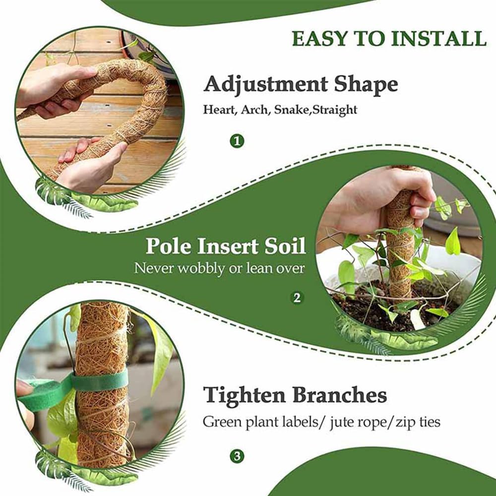 Ivy trellis with moss pole for indoor greenery