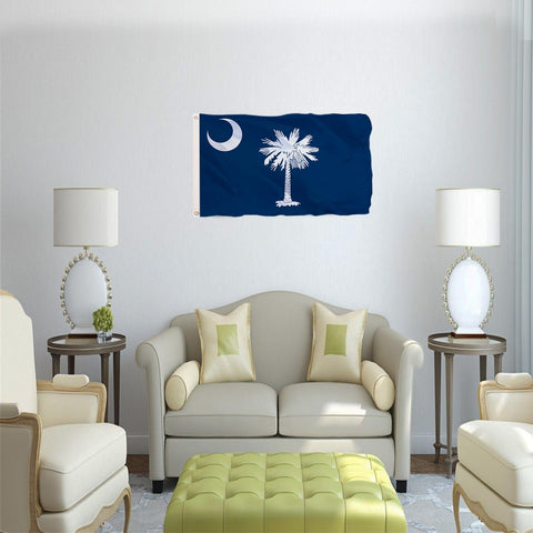 tnpun South Carolina flag for car, boat, and office display