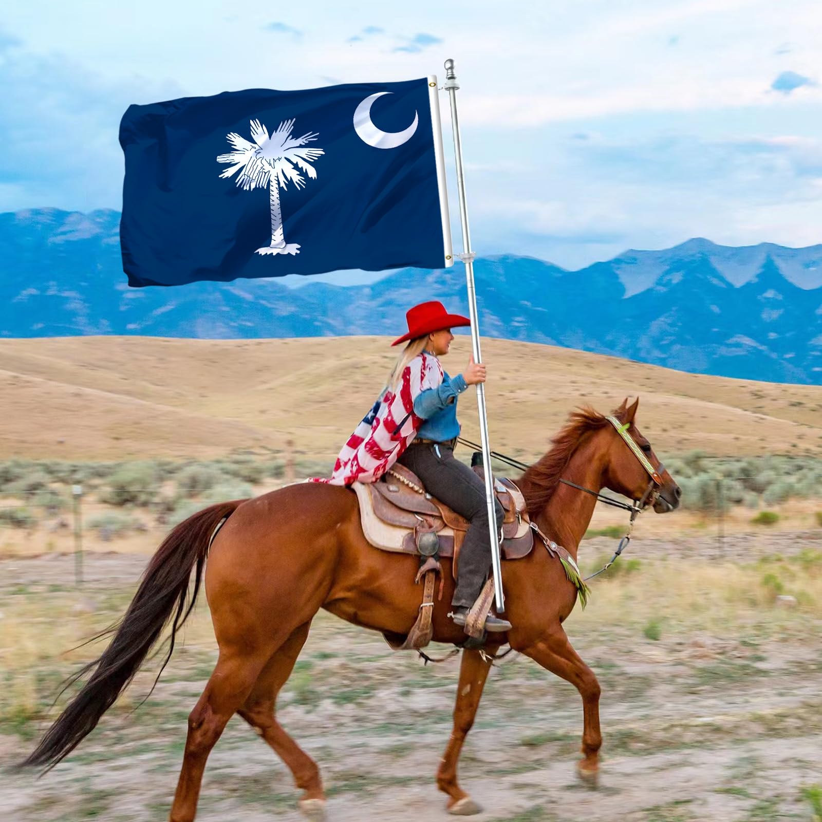 tnpun South Carolina flag suitable for indoor and outdoor display