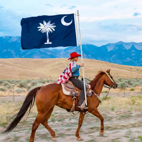 tnpun South Carolina flag suitable for indoor and outdoor display