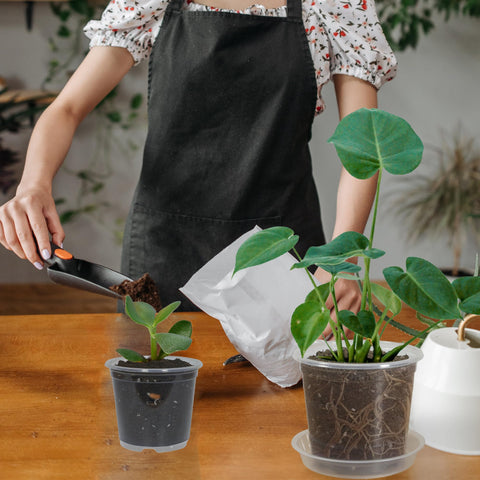 TNTIWQ 3-inch pots ideal for seed germination and seedlings.
