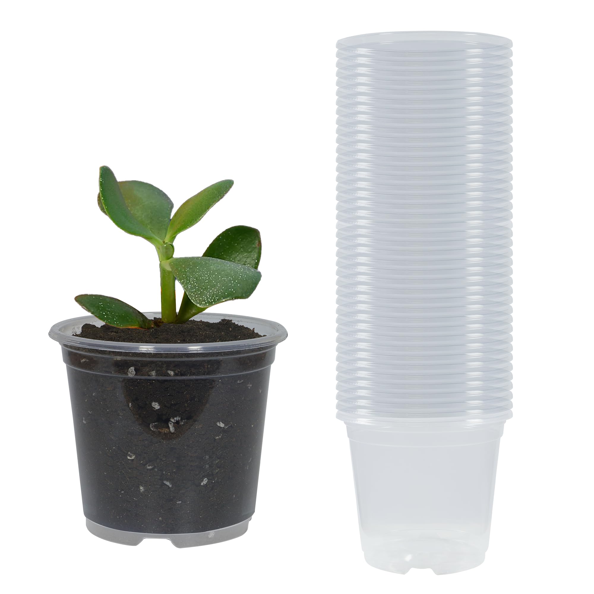 TNTIWQ 40-pack 3-inch clear nursery pots with drainage for easy seed starting.