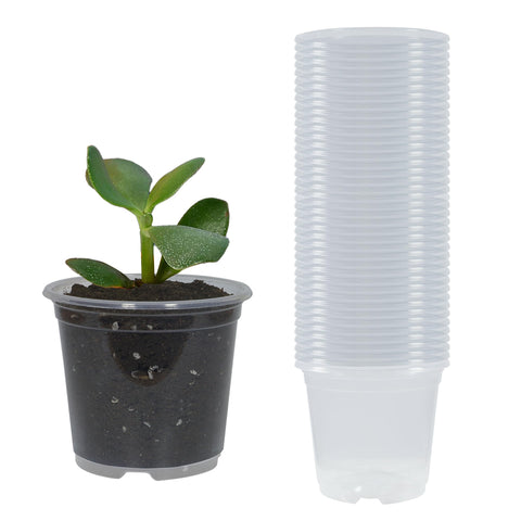TNTIWQ 40-pack 3-inch clear nursery pots with drainage for easy seed starting.