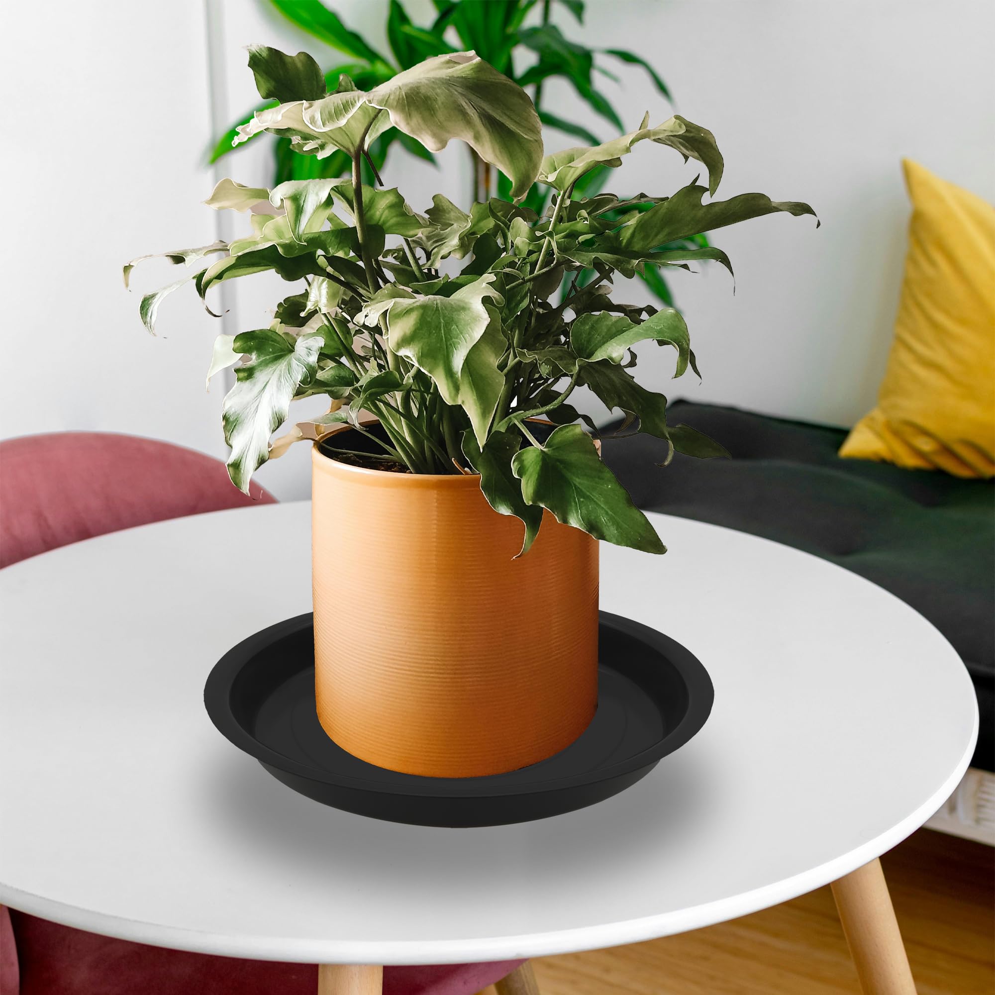 TNTIWQ 6-pack 10 inch plant saucers decorated with pebbles or used as bird bath.