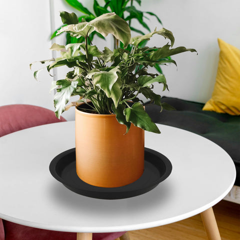 TNTIWQ 6-pack 10 inch plant saucers decorated with pebbles or used as bird bath.