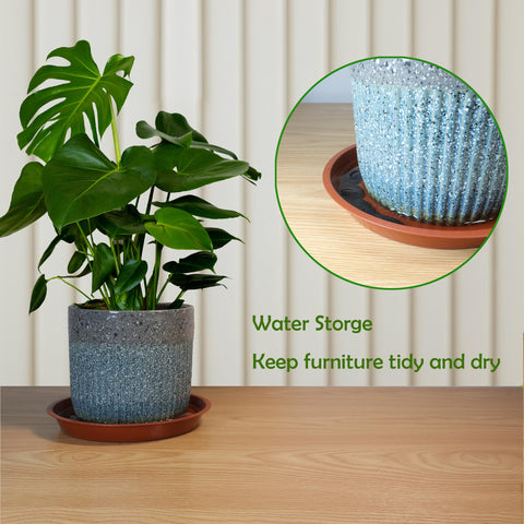 TNTIWQ black saucer includes water storage for roots.
