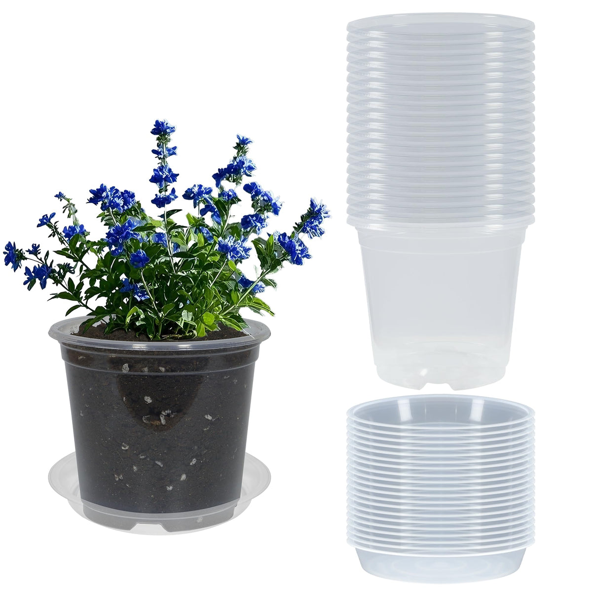 TNTIWQ clear 7-inch nursery pot with drainage for easy root observation.