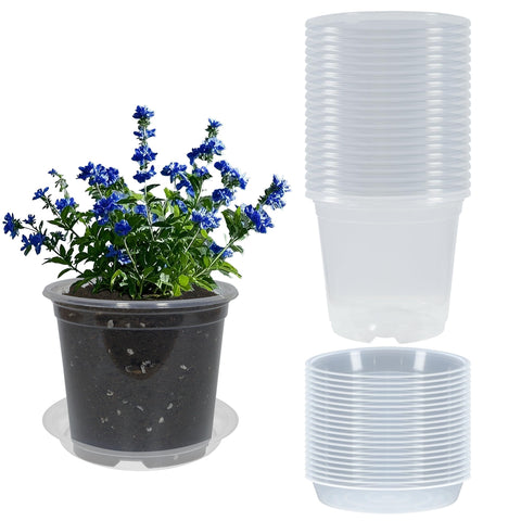 TNTIWQ clear 7-inch nursery pot with drainage for easy root observation.
