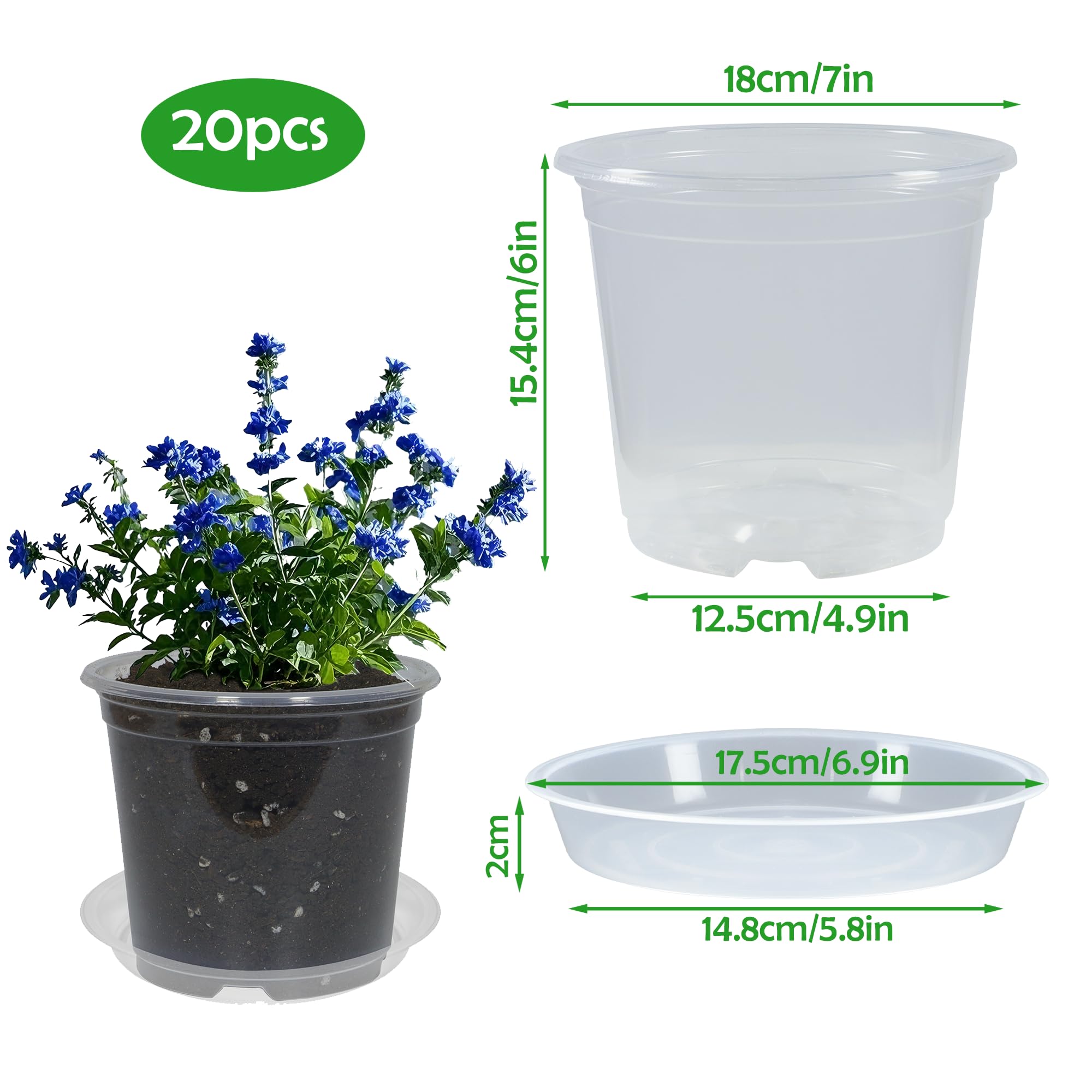 TNTIWQ clear pot with saucer set showing high-edge moisture containment.