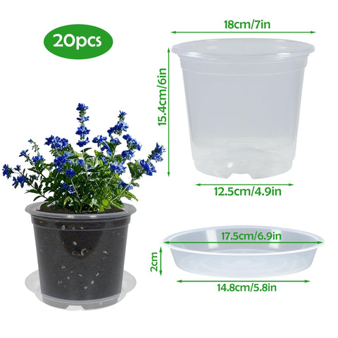 TNTIWQ clear pot with saucer set showing high-edge moisture containment.