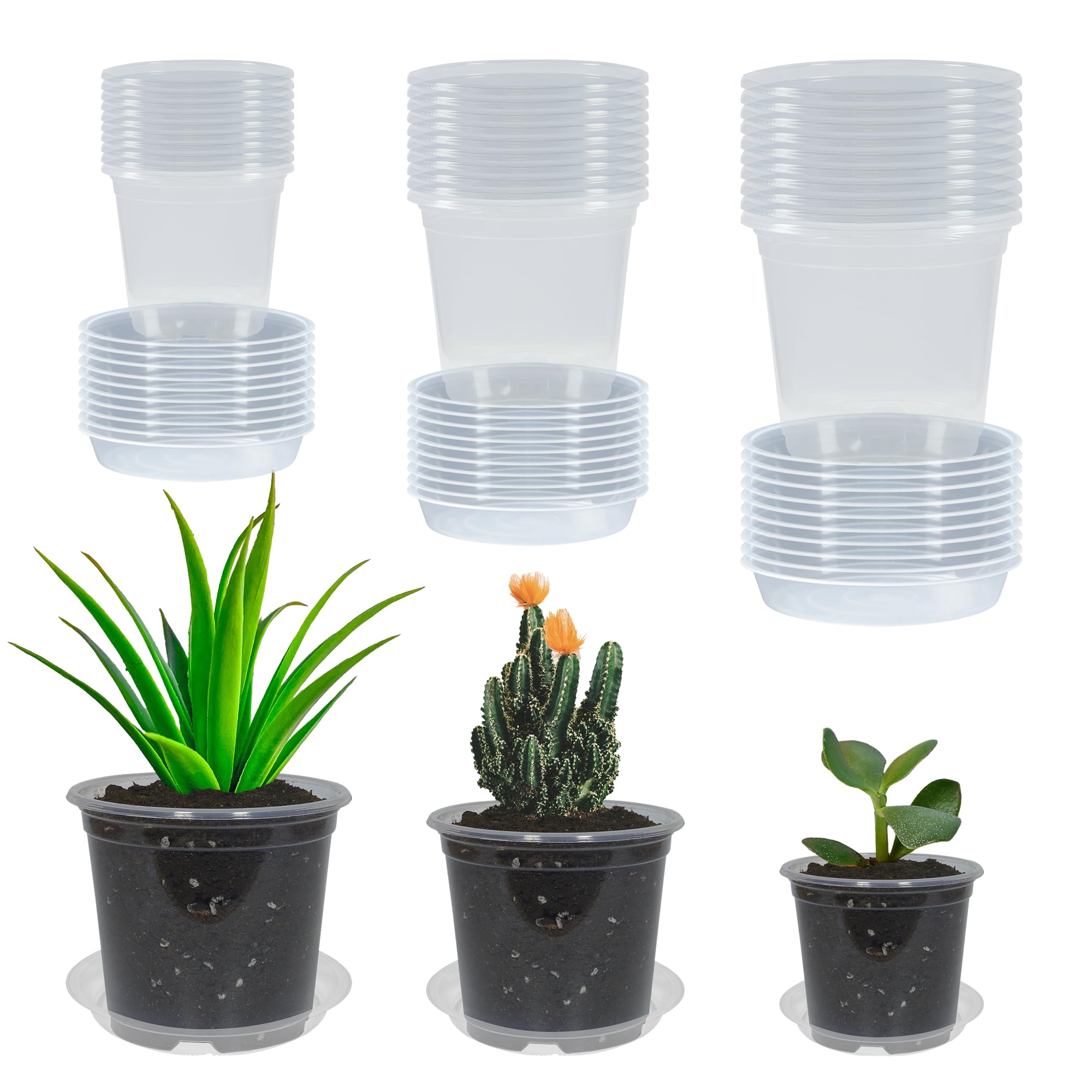 TNTIWQ clear nursery pot 3-inch with drainage for seed starting and observation.