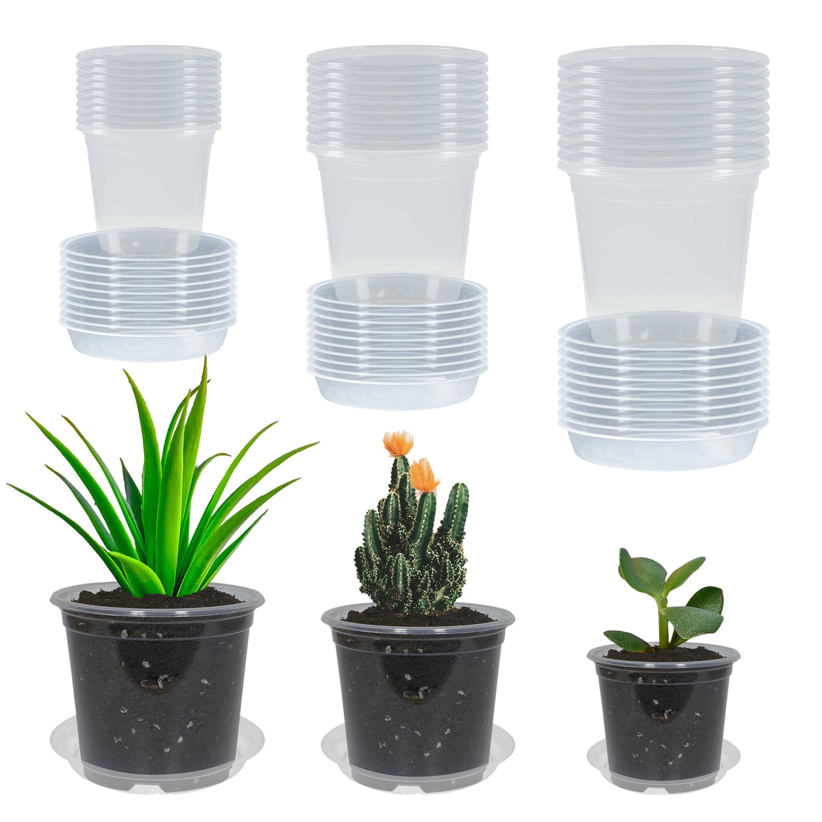 TNTIWQ clear nursery pot 3-inch with drainage for seed starting and observation.