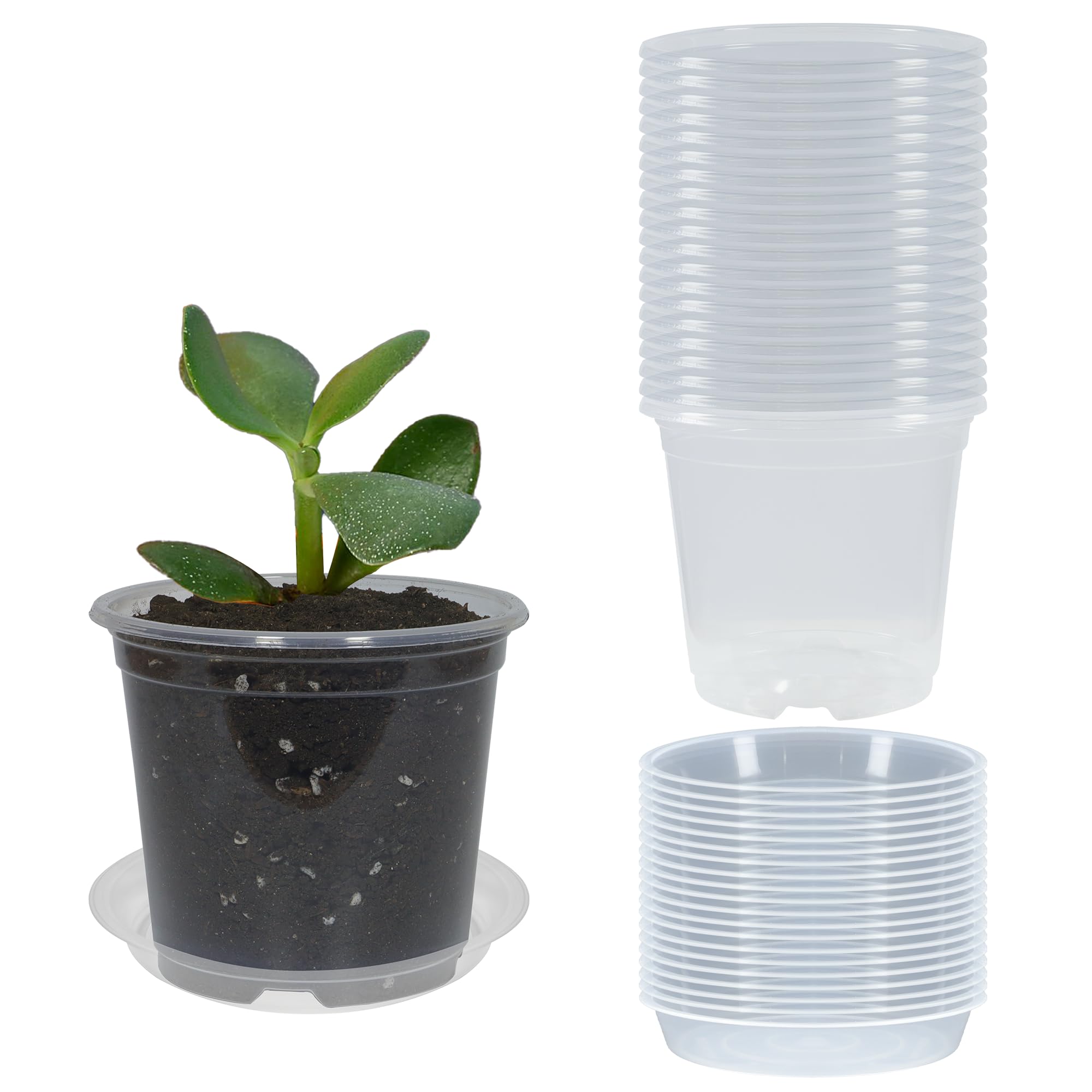 TNTIWQ clear nursery pot 3 inch with drainage for healthy seed starting