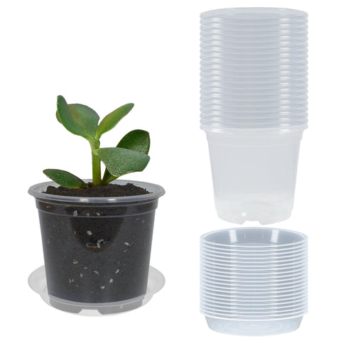 TNTIWQ clear nursery pot 3 inch with drainage for healthy seed starting