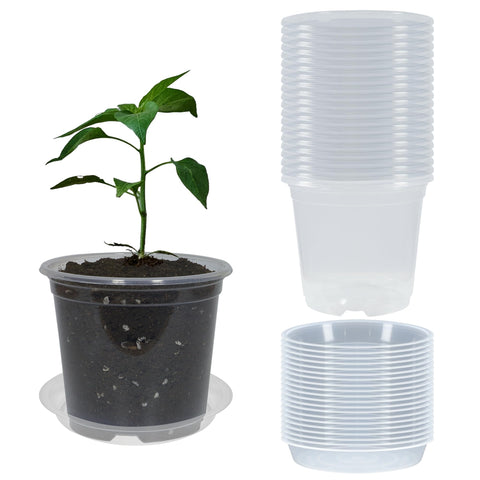 TNTIWQ clear 4-inch nursery pot with drainage holes for easy root health checks.