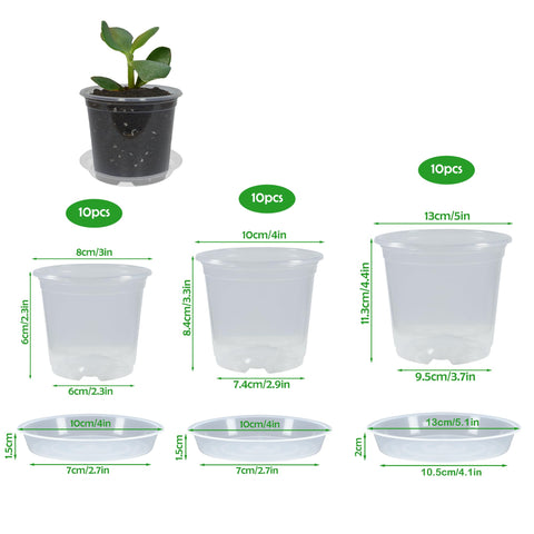 TNTIWQ clear nursery pot 4-inch with drainage for easy monitoring.