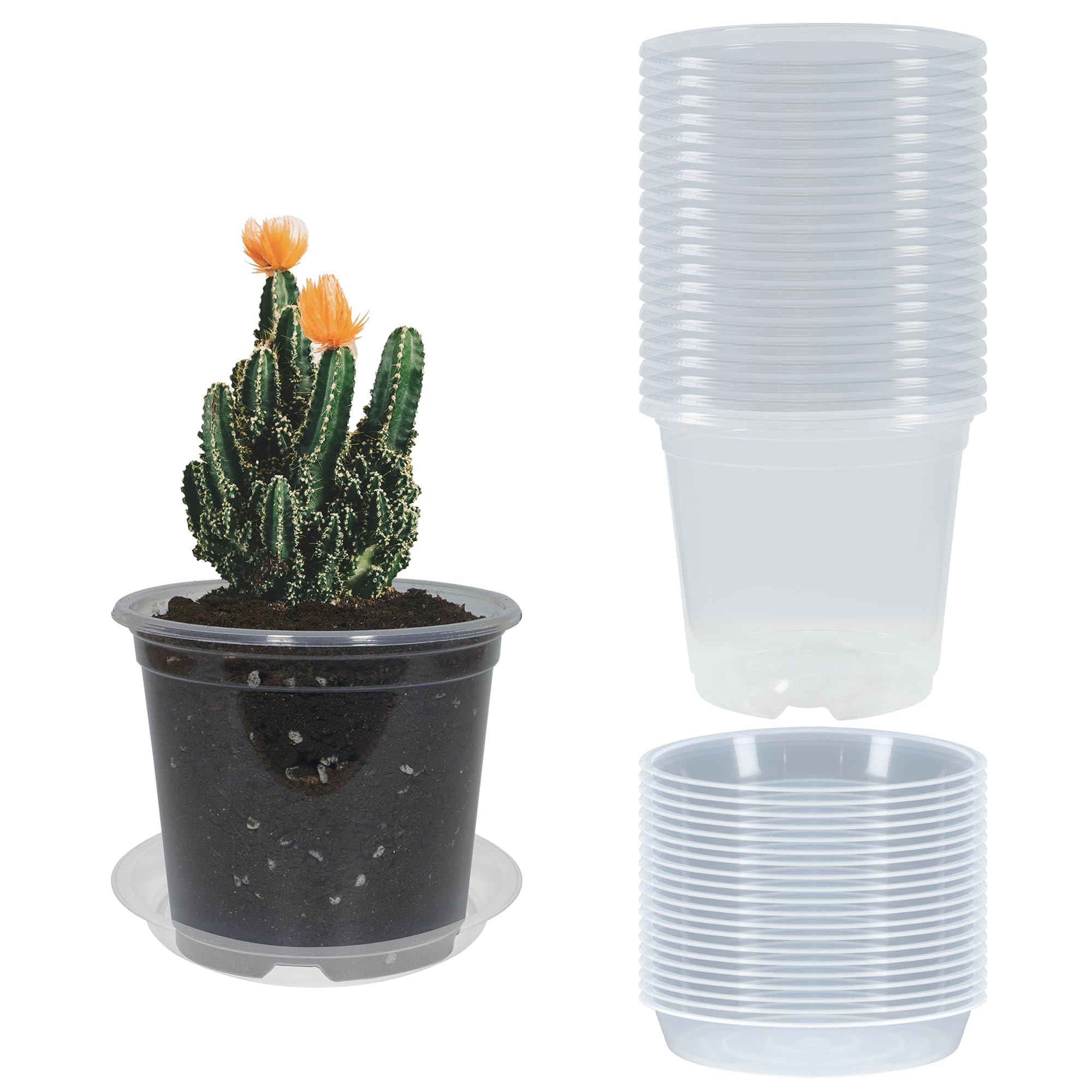 TNTIWQ clear 5 inch nursery pot showing transparent walls for easy root observation.