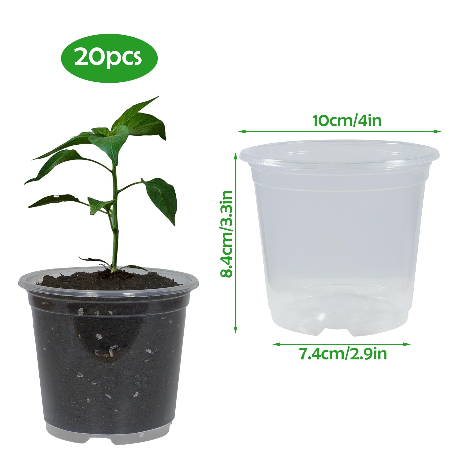 TNTIWQ clear pot with drainage holes supports healthy root growth during propagation.
