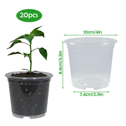 TNTIWQ clear pot with drainage holes supports healthy root growth during propagation.