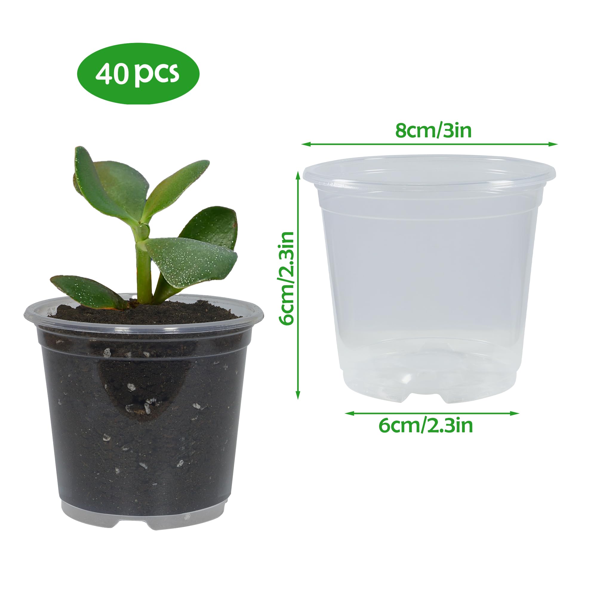 TNTIWQ clear nursery pots drainage holes aid root health and air circulation.