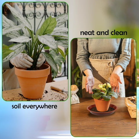 TNTIWQ raised edges keep soil contained and surfaces clean.
