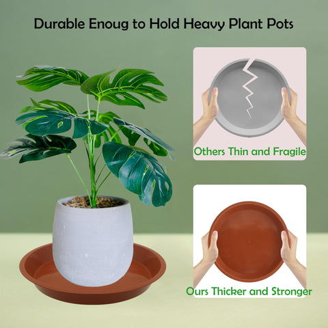 TNTIWQ saucers with drainage depth to manage excess water.