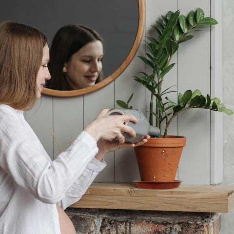 TNTIWQ compatible with ceramic, clay, and plastic pots indoors or outdoors.